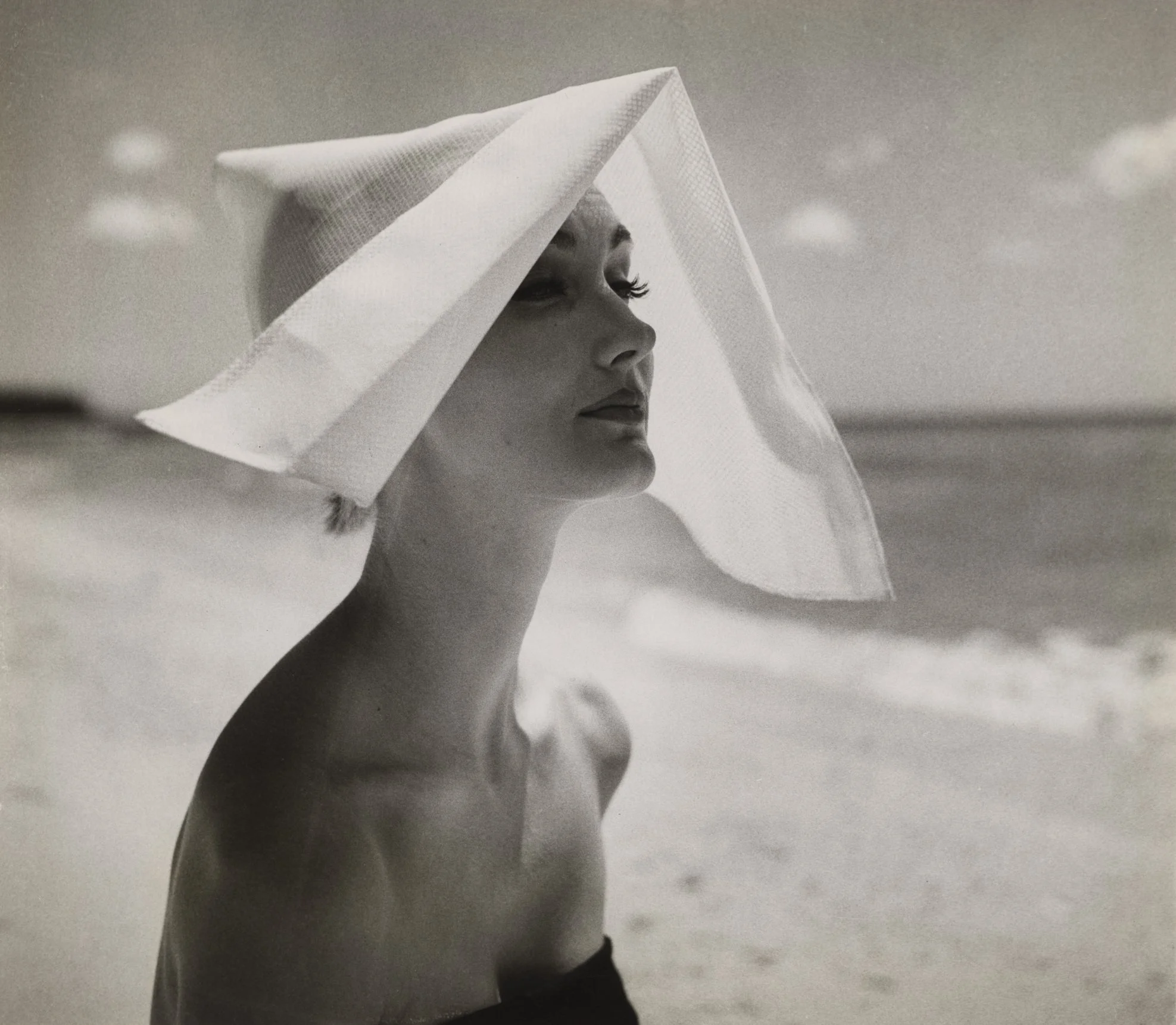 Lillian Bassman: Bazaar and Beyond | The MET — Musée Magazine